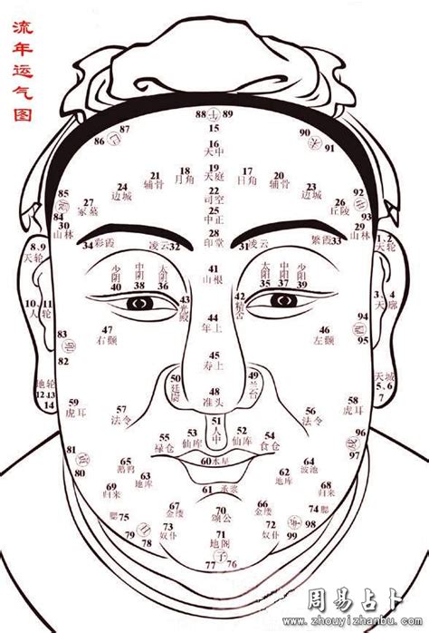 面相圖|面相(面部流年)